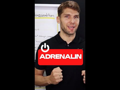 ADRENALIN ist gut - CORTISOL auch! (Was Du über Hormone wissen solltest)