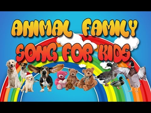 Animal Family | Song for kids | Bear, duck and dog | Meda, patka i pas | Pesma za decu