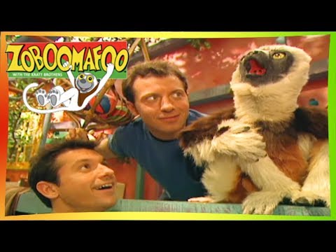 🐒 Zoboomafoo 121 - Giants | HD | Full Episode 🐒