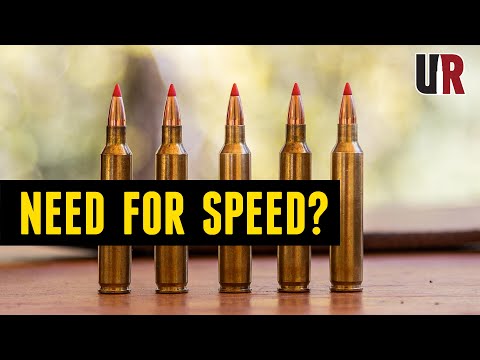 204 Ruger Load Data