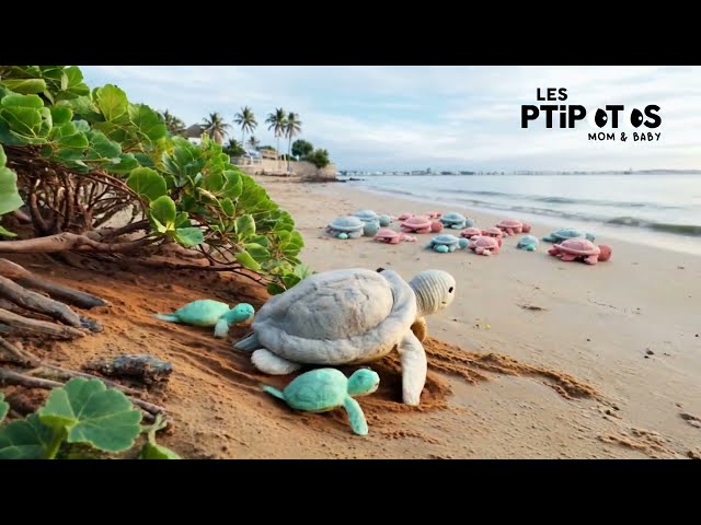 Vídeo relacionado con LES DÉGLINGOS 73503 Ptipotos Sauvenou La Tortuga mamá y bebé Peluche de Pana, Menta, 26,4 x 10 x 29,5