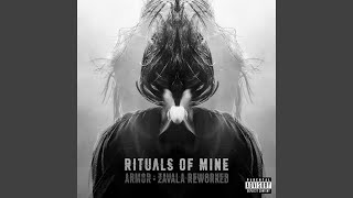 Armor (Zavala Reworked)