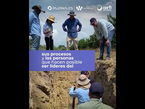 Nuestra Presidente Milena López Rocha visitó las inversiones de agroindustria Pajonales y Mavalle