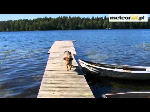 Pole Namiotowe Swoboda Sirocco - Swoboda meteor24.pl