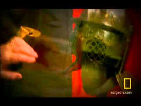 當羅馬統治的時候3-DVD套裝 (When Rome Ruled 3-DVD Set)