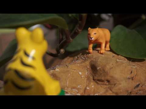 Fang den Berg - Shir Khan /// #FDB2K