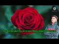 New WhatsApp Status Laddu Laddu Khate Mein Bhola Bhola Ka Re Re