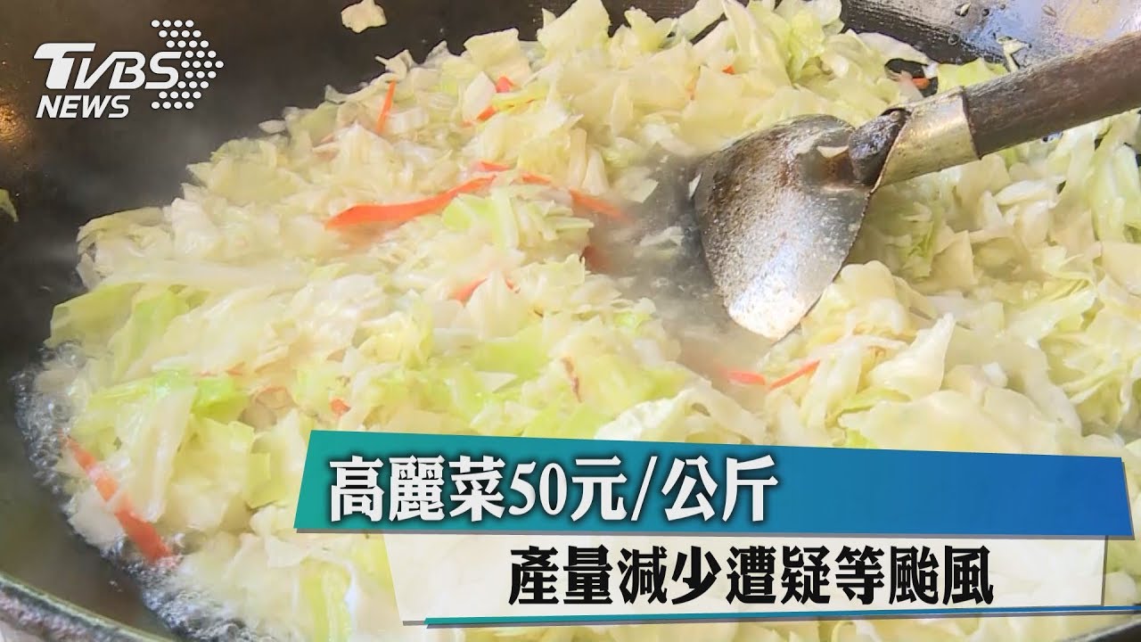 高麗菜1公斤50元 產量減少遭疑等颱風
