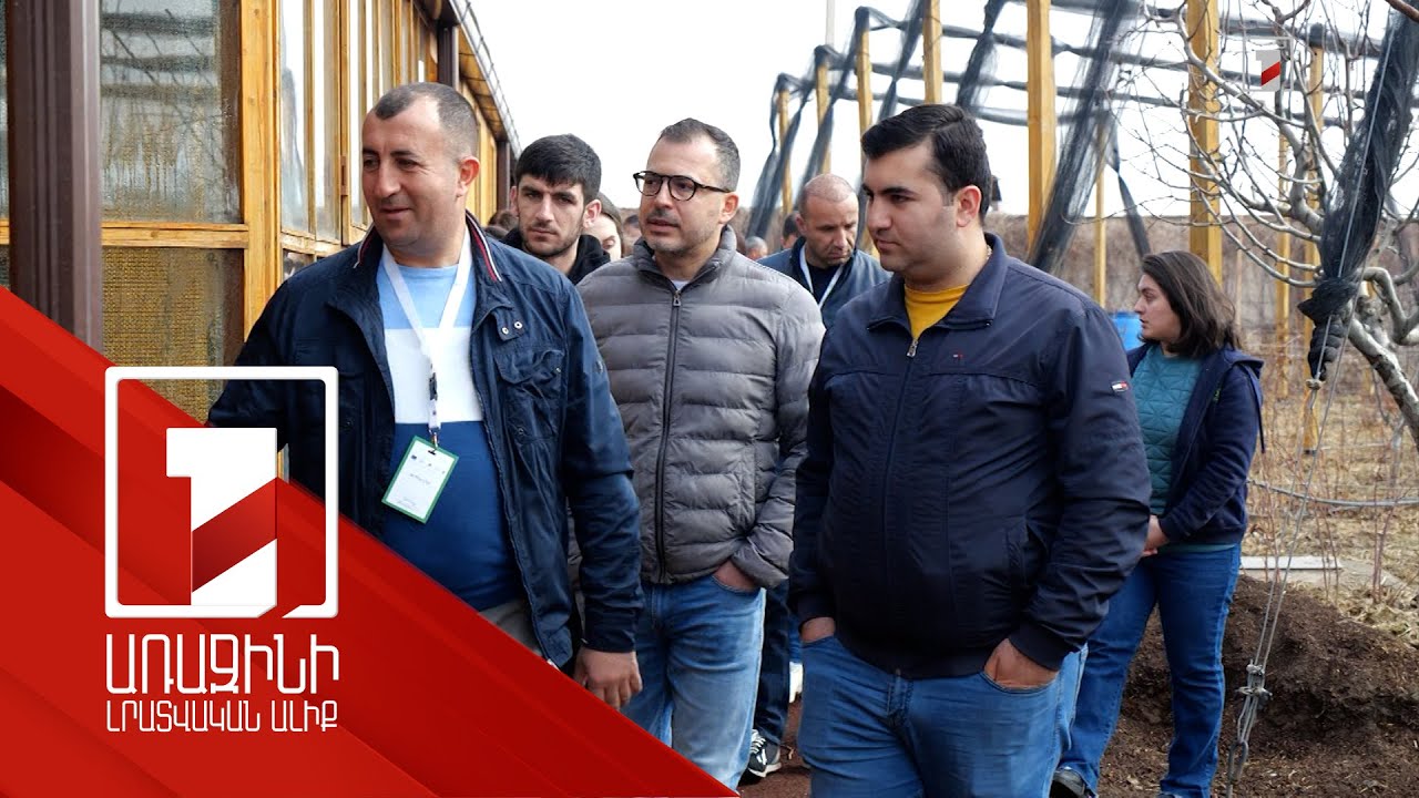 Ինչպես լուծել կանաչ գյուղատնտեսական արտադրանքի իրացման խնդիրը. գնորդներ-արտադրողներ հանդիպում