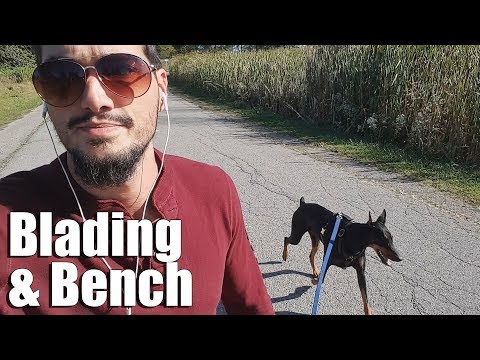 Rollerblading with Doberman Dante & Bench Pressing Video