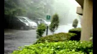 preview picture of video 'rain in ashiana.'