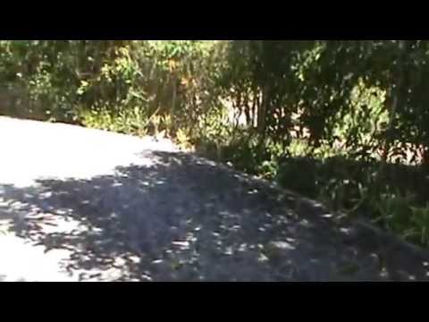 Villa Azalea Outside Part 2