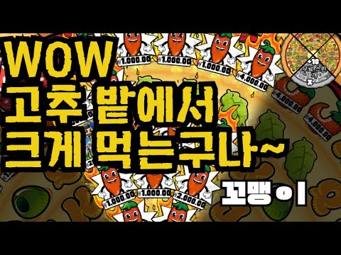 [슬롯][제보영상][닉네임:꼬맹ㅇi]피자2 575배