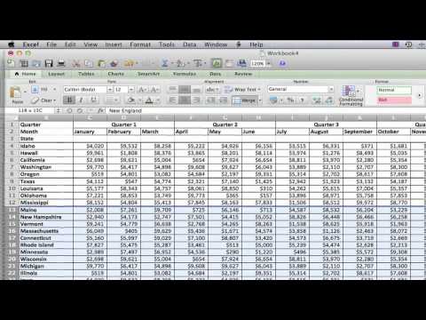 How to Add Lines on an Excel 2007 Sheet : MS Excel Tips