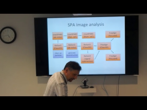 SEMC 2019 Cryo-EM Course - Single-particle analysis (part II: Data Analysis & workflow - Reza Khayat