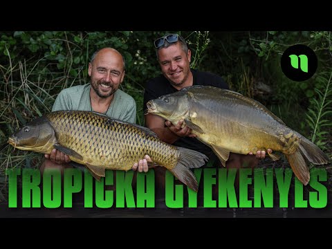 Tropická Gyékényes | Pořádná nálož kaprařiny | Nezapomenutelné souboje | Karel Nikl