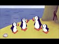 64 Zoo Lane Podcast Puffin Record Breakers And A Grumpy Walrus S04EP15