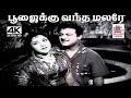 Poojaikku Vantha Malare P B ஸ்ரீனிவாஸ் S ஜானகி பாடிய பா�