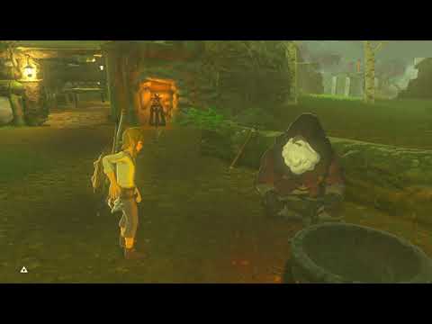 BotW How to get the Warm Doublet