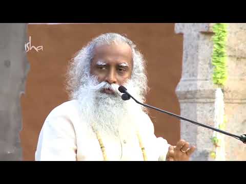 Suffering Will Not Seek Full DVD