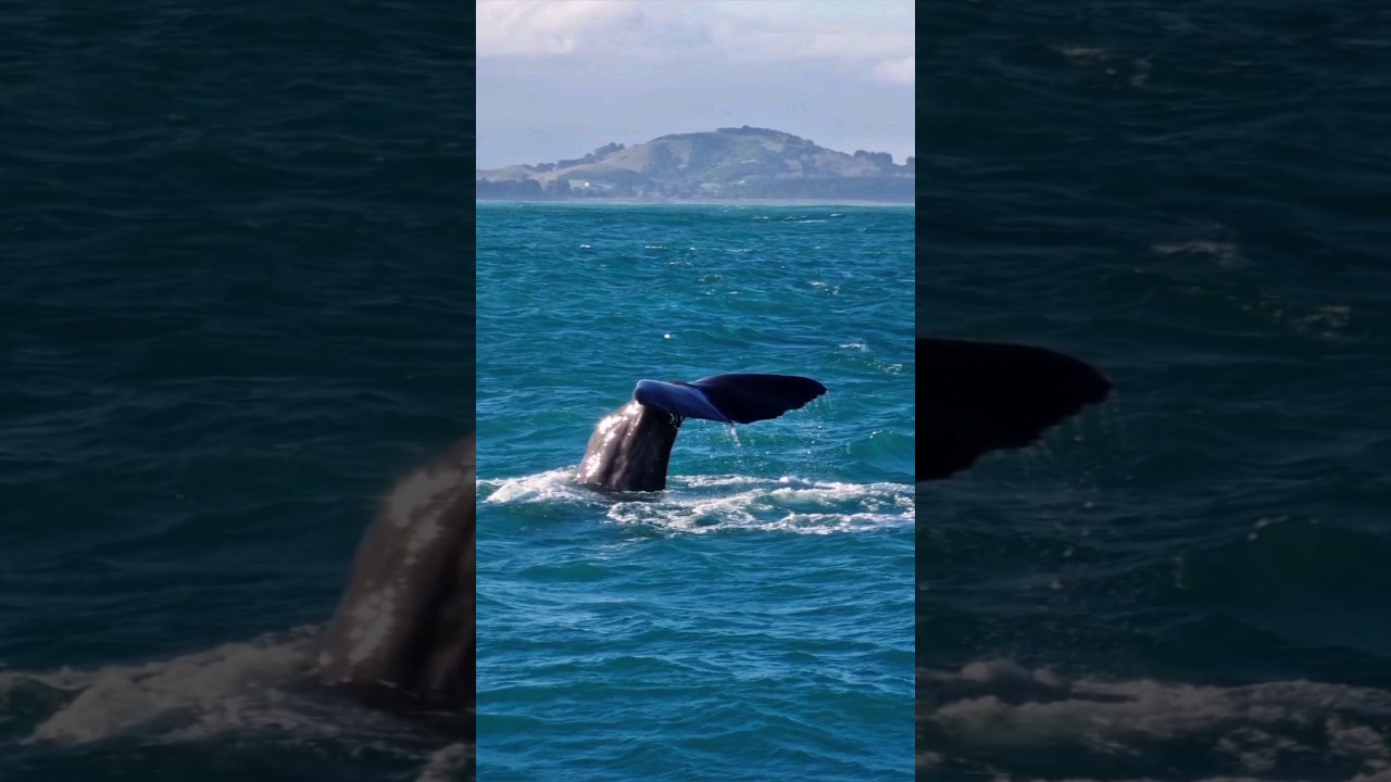 YouTube Short thumbnail