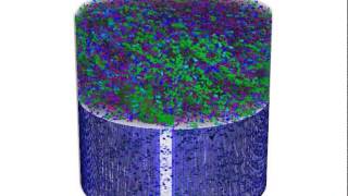 preview picture of video 'Multiresolution X-ray tomography, getting a clear view of the interior'