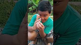 Download lagu tutorial sirine polisi mp3 Download lagu tutorial sirine polisi mp3