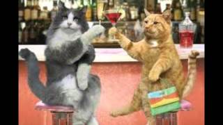 me voy a poner bien pedo los razos