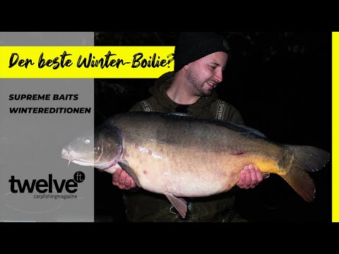 Der beste Winter-Boilie?! Wintereditionen von Supreme Baits | Enzyme | Karpfenköder | Winterangeln