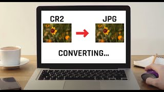 How to turn Canon CR2 file into JPEG format?