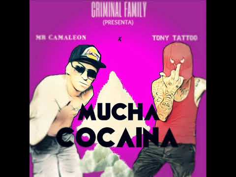 Mucha Cocaina - Tony Tattoo x Mr Camaleon [Trap Peruano 2018] Prod . Danny