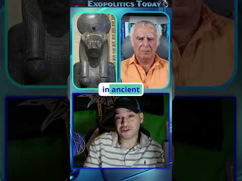 Interdimensional Feline Beings and Solar Intelligence ☀️ #michaelsalla #lightbeings #shorts