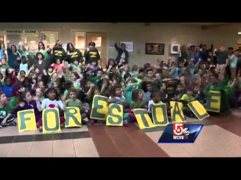 Wake up call: Forestdale School