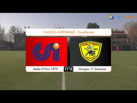 Sintesi Stella D'Oro 1979 - Gruppo 17 Zanzare