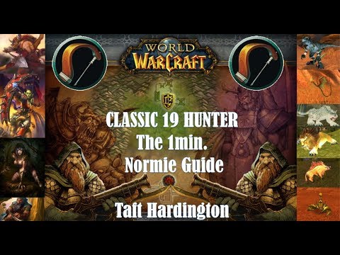 19 Hunter Quick Guide: Spec, Race, Pets, Gear, Enchants, Upgrades: Vanilla P.Server Wow