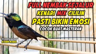 Download lagu FULL NEMBAK SEJALUR !! KONIN GACOR FULL ISIAN KENARI MIX CILILIN, COCOK UNTUK MASTERAN KOLIBRI NINJA mp3