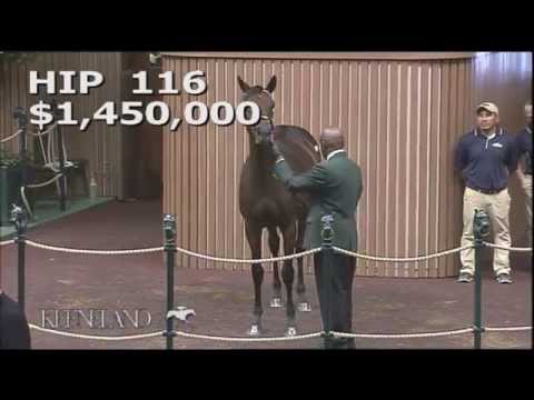 War Front filly sells for $1.45-million at 2015 Keeneland September yearling sale