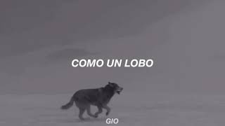 Miguel Bosé &amp; Bimba Bosé - Como un lobo | Letra |