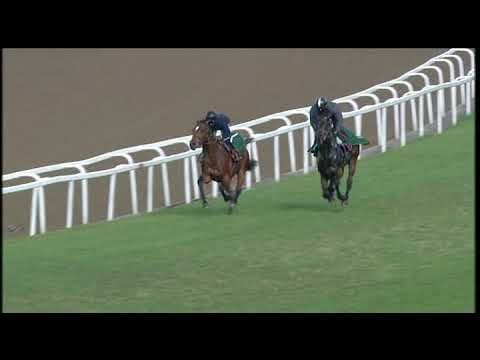20200708 Hollywoodbets Greyville Gallop  by RASCALLION