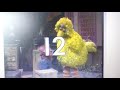 Sesame Street 2053 Sponsors