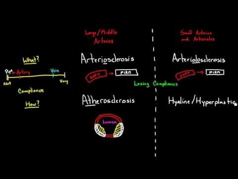 Arteriosclerosis, Arteriolosclerosis, and Atherosclerosis
