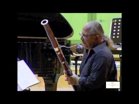 Maghiari (Exercitii de admiratie op.101) de Liviu Danceanu / ARCHAEUS