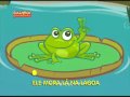 O Sapo Não Lava O Pé DVD Galinha Pintadinha