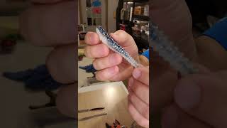 I love this shad imitation style swimbait!! #shorts