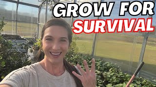 Top 4 WINTER Food That You Should ALWAYS Grow in a Garden | EASY GROW ANYWHERE 