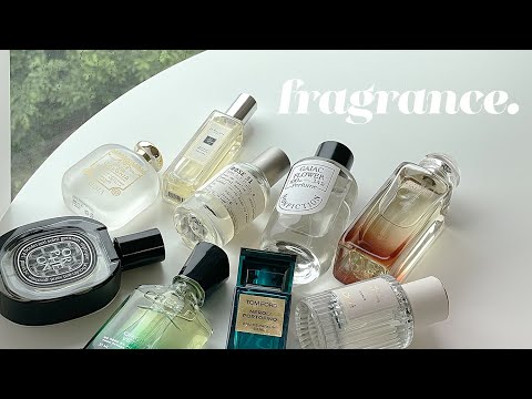 (eng) FAVORITE PERFUMES🌱무슨향수야?! 질문받는 인생향수들.. 비누향🧼우디향🪵 (논픽션, 르라보, 에르메스, 딥디크, 크리드・・) | dear.jerry