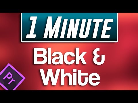 Premiere Pro Podcast Voice Tutorial