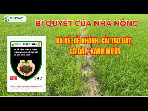 HUMIC ULTRA X