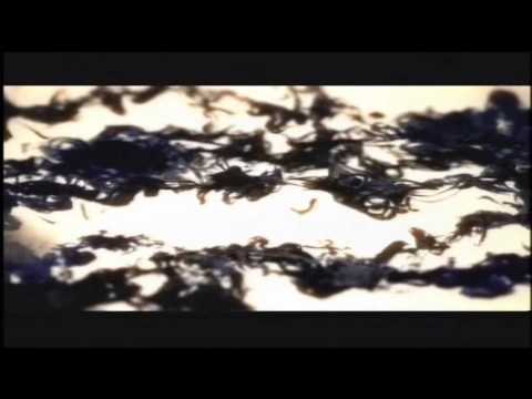 Kaskade & Deadmau5 - Move For Me (Official Music Video)