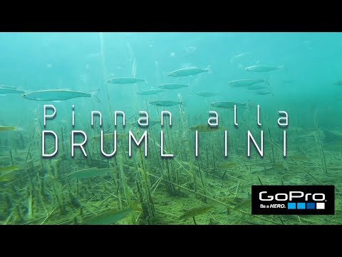 Pinnan alla- Drumliini (4K)